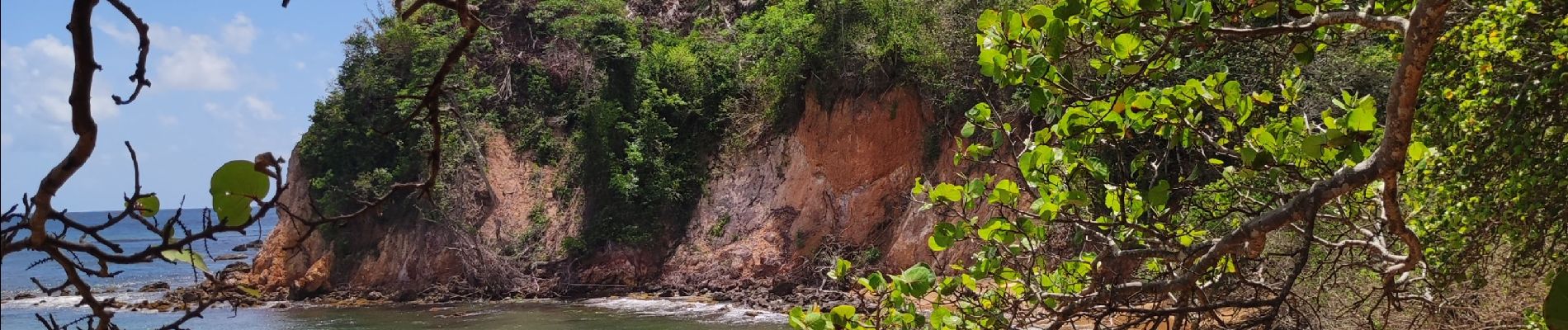 Excursión Senderismo La Trinité - De Pointe rouge vers pointe à Bibi  - Photo