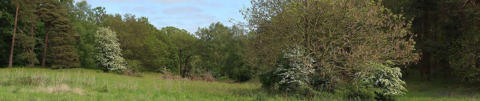 Randonnée A pied North Norfolk - Cley Spy Circular Bird Walk - Photo