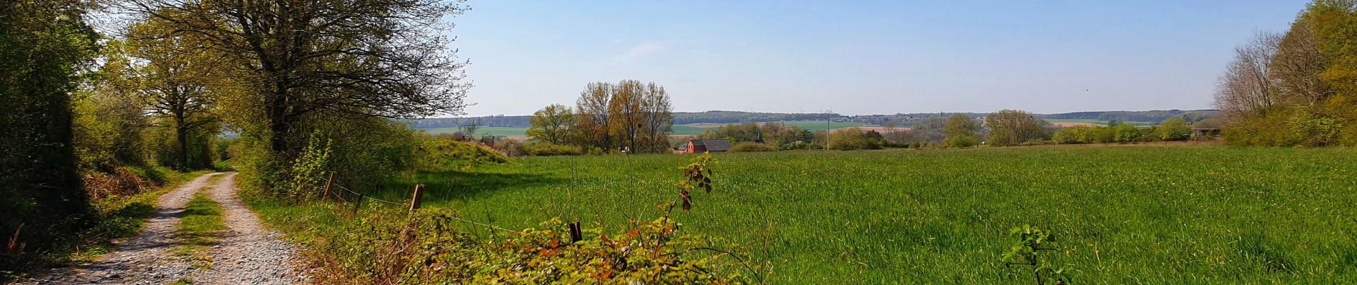 Randonnée Marche Mettet - La promenade du Planois à Biesme - Photo