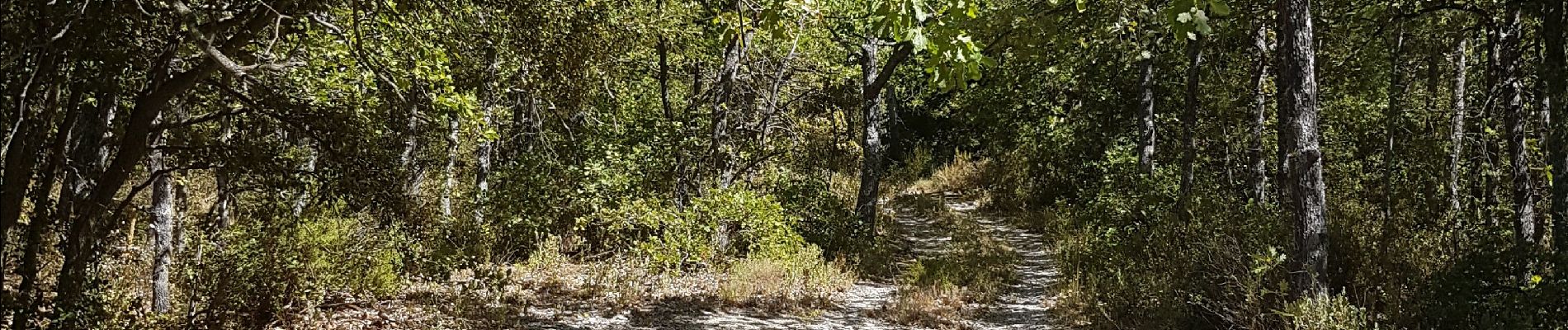 Tocht Noords wandelen Cabrières-d'Aigues - 23082020 - Photo