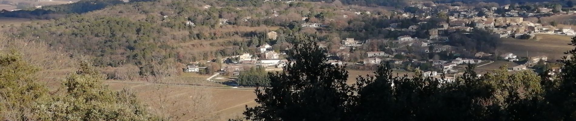 Excursión Senderismo Gaujac - oppidum de gaujac - Photo