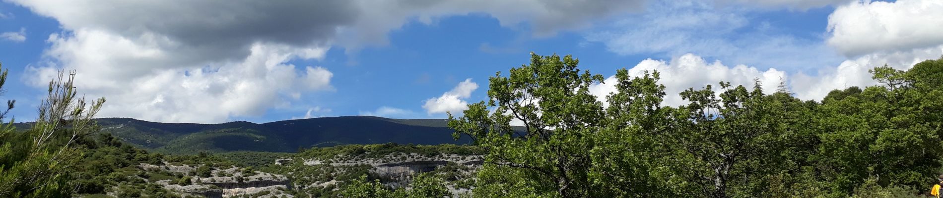 Excursión Senderismo Bédoin - Sud Ventoux et Combe de Curnier  - Photo