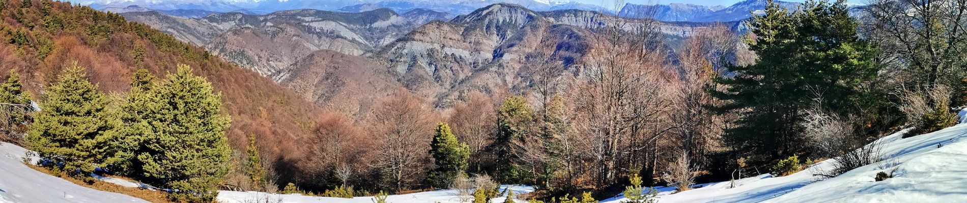 Tour Wandern Bayons - Sommet de la Chanau - Photo