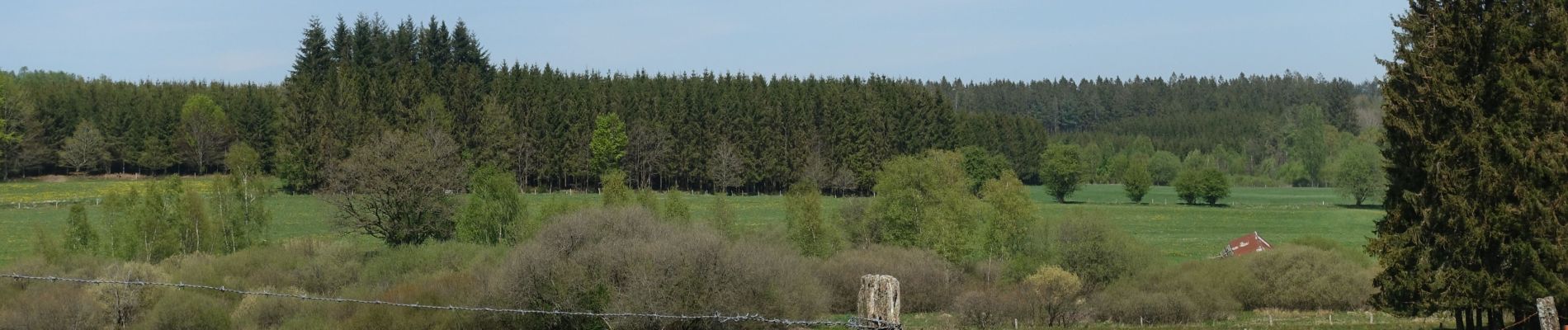 Trail Walking Neufchâteau - Massul - Bois Ramon - Gros Bois - Photo