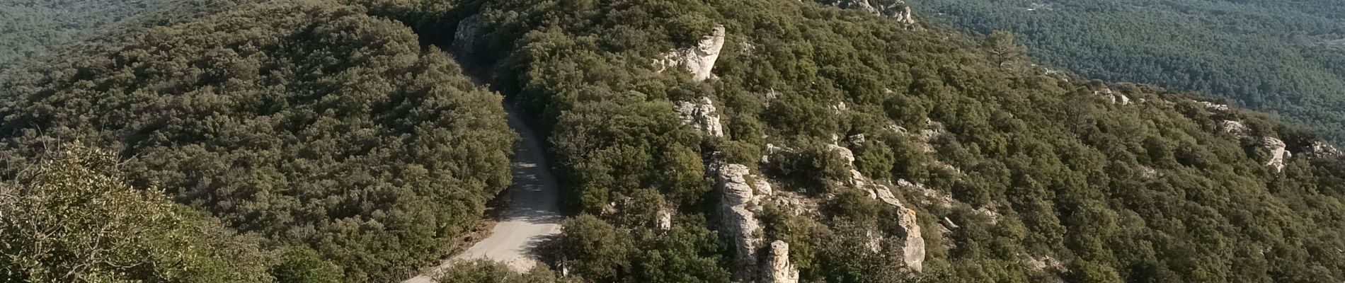 Tocht Stappen Pontevès - Petit et gros Bessillon 07-02-24 - Photo