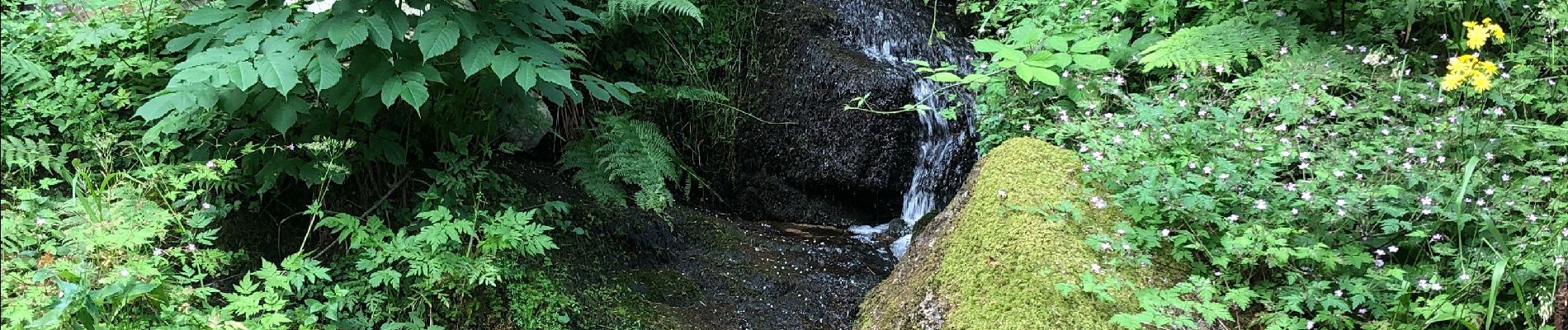 Randonnée Marche Stosswihr - Chemin des cascades - Photo