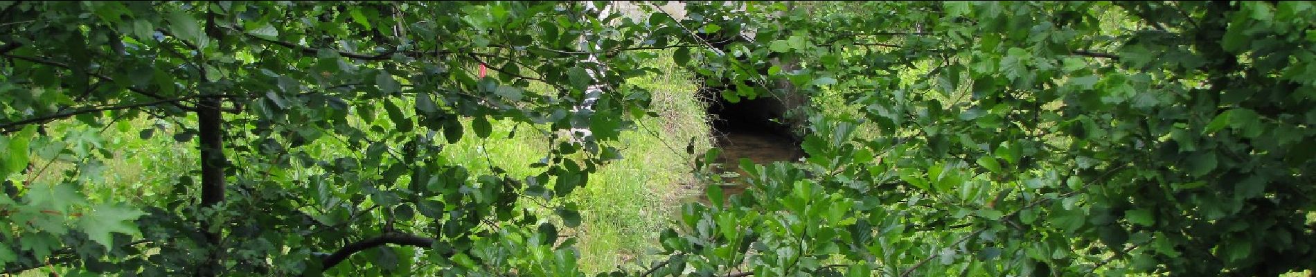 Randonnée A pied Compiègne - en forêt de Compiègne_34_autour du Buissonnet et du Berne - Photo