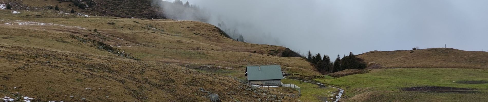 Randonnée Marche Theys - De Pipay vers le Crêt du boeuf en boucle - 14 nov 2021 - Photo