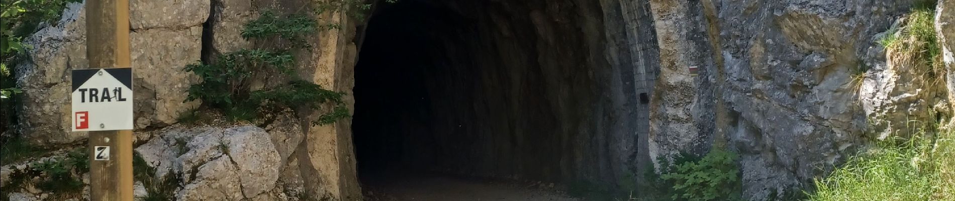 Excursión Senderismo Foncine-le-Bas - Foncines-le-Bas, du viaduc des Douanets à  la cascade du Bief de la Ruine. - Photo