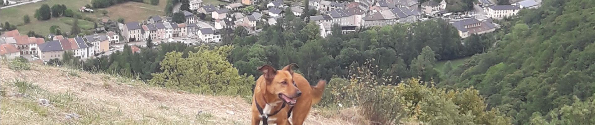 Randonnée Marche Val-de-Sos - le château Vicdessos  - Photo