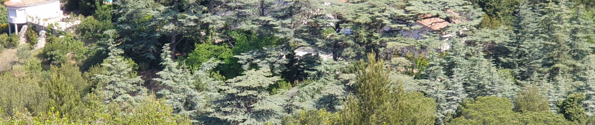 Tocht Stappen Marseille - Ruissatel 31 mai 2022 - Photo