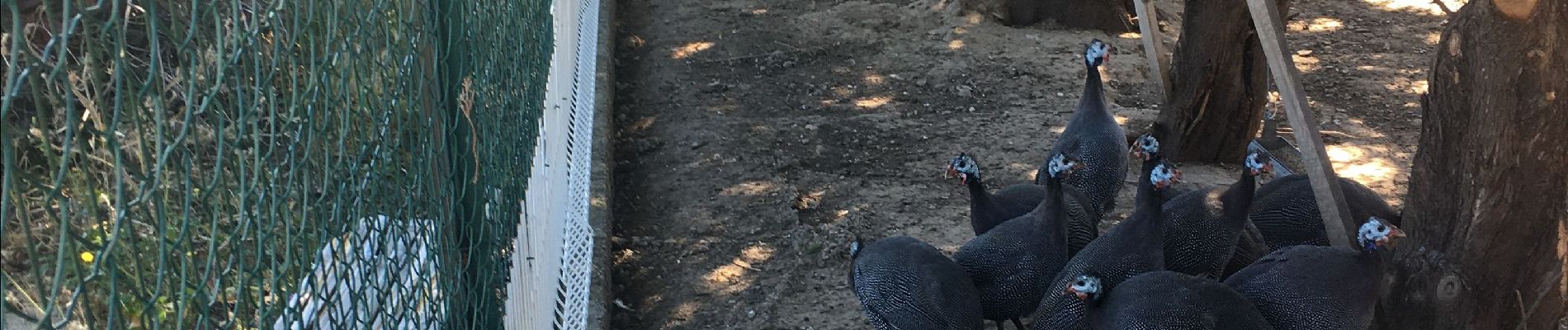 Randonnée Marche Pélissanne - Boucle des Bonsours - Photo