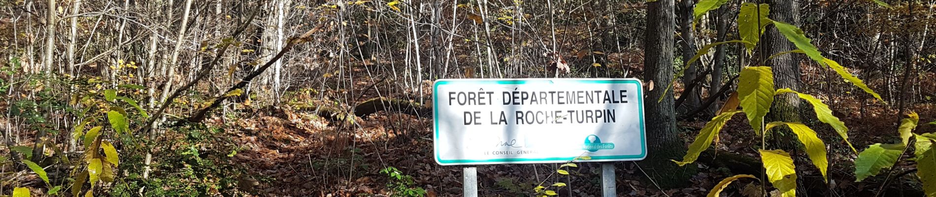 Tour Wandern Bruyères-le-Châtel - bois de turpin - Photo