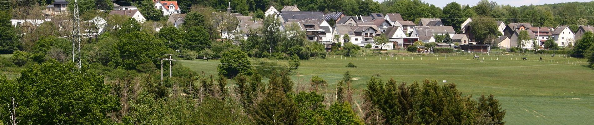 Excursión A pie Ruppach-Goldhausen - Themenweg Ton blau - Photo