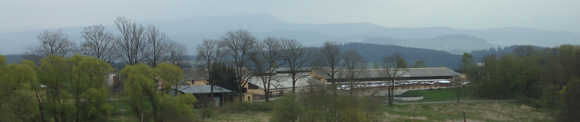 Randonnée A pied Furth im Wald - Fu61 (Daberger Rundweg) - Photo