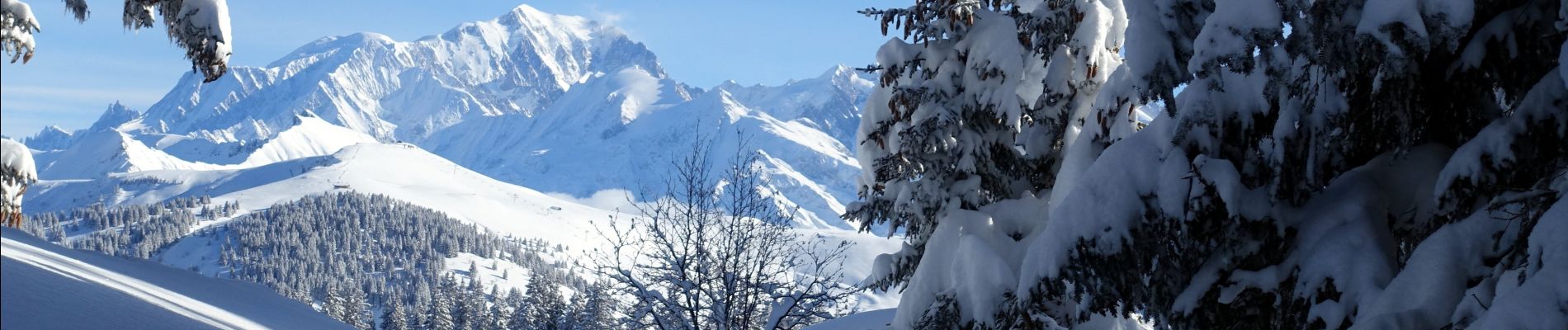 Tour Schneeschuhwandern Hauteluce - 2021-01-26 - Photo