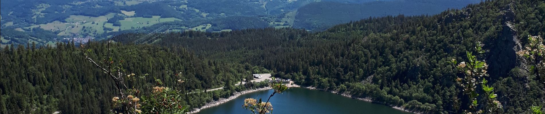 Tocht Stappen Orbey - Col du Wettstein Lac Blanc - Photo