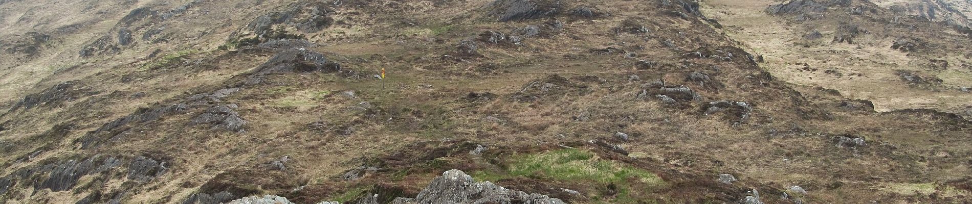 Tour Zu Fuß West Cork - Peakeen Ridge Loop Walk - Photo