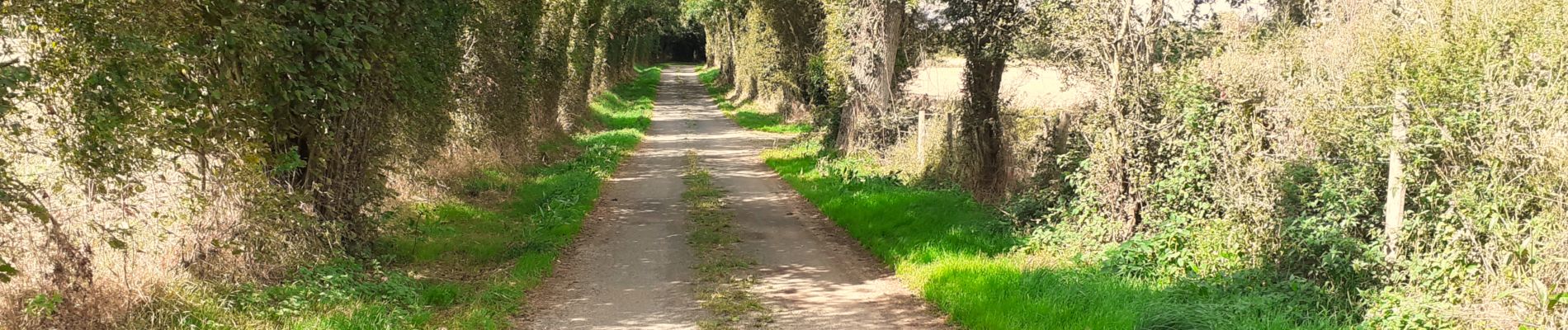 Tocht Te voet Bretteville-sur-Laize - Bretteville sur Laize / Urville - Photo