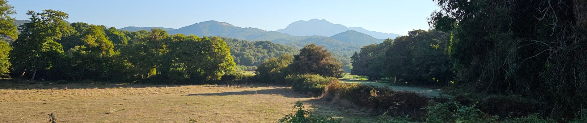 Tocht Stappen Calcatoggio - Plage de Stagnione  - Photo