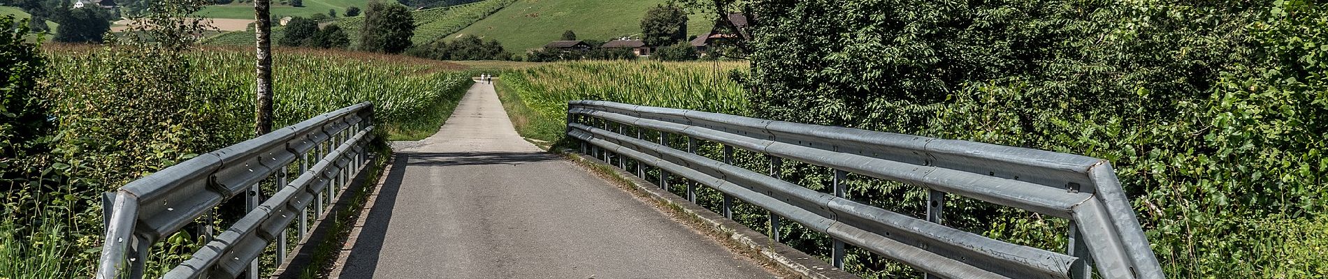 Percorso A piedi Dagmersellen - Richenthal - Dagmersellen - Photo