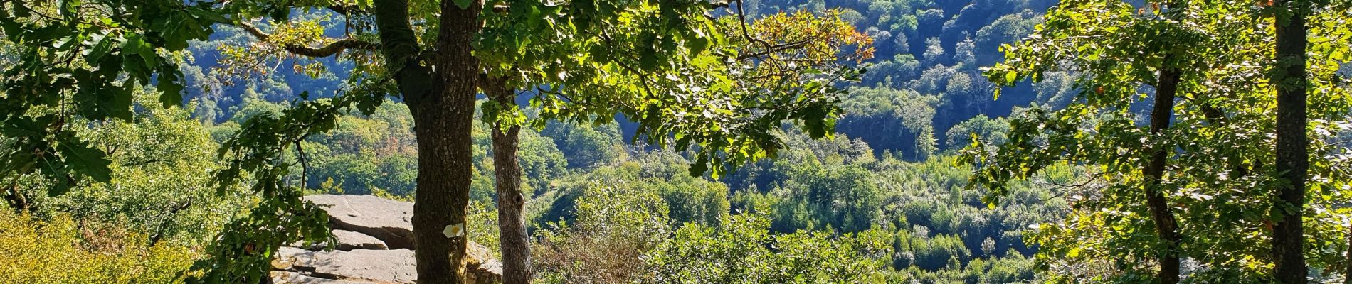 Randonnée Marche Vresse-sur-Semois - Promenade de la Table des Fées à Bohan - Photo