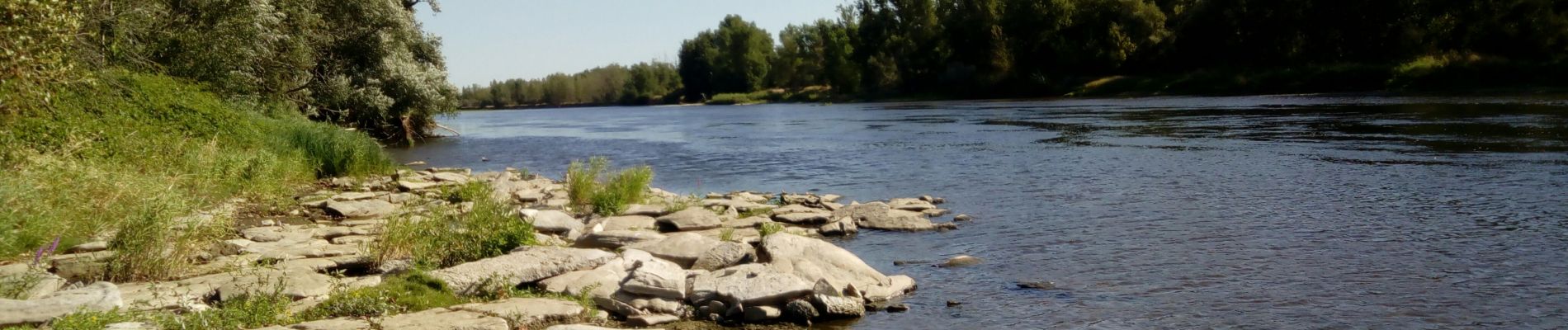 Tocht Stappen Monétay-sur-Allier - montenay sur allier - Photo