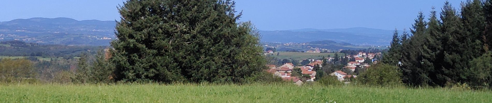 Tour Wandern Périgneux - Marche de 10 km de la Fanandrette  - Photo