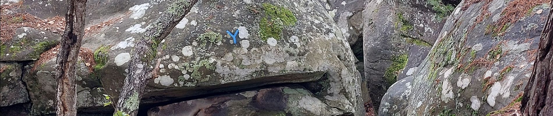 Point d'intérêt Fontainebleau - 6Y - Belvédère de Titien - Photo