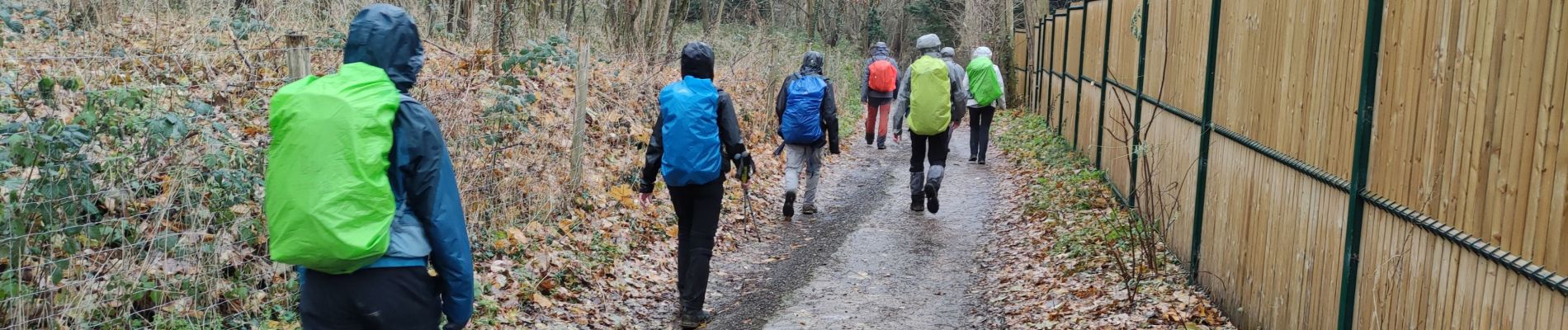 Tour Wandern Mareil-sur-Mauldre - Au départ de Mareuil sur Mauldre - Photo