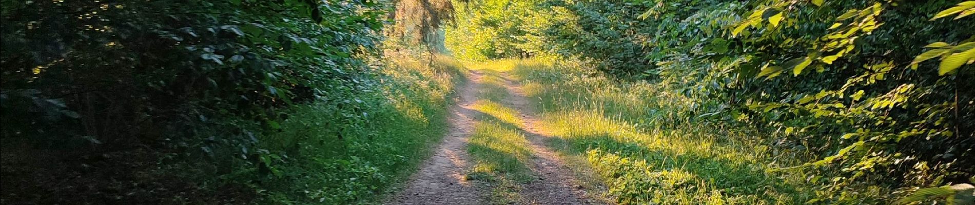 Randonnée Marche Étalle - Chantemelle la tranchée des portes - Photo