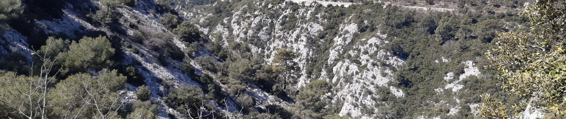 Excursión Senderismo Évenos - col de garde destel - Photo