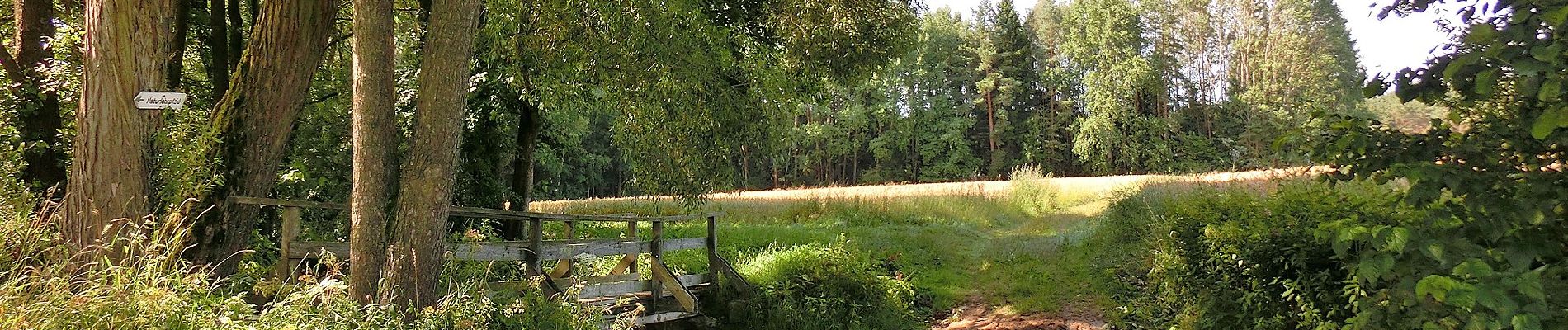 Tour Zu Fuß Kirchenpingarten - Speichersdorf Rundwanderweg Nr. 3 - Photo