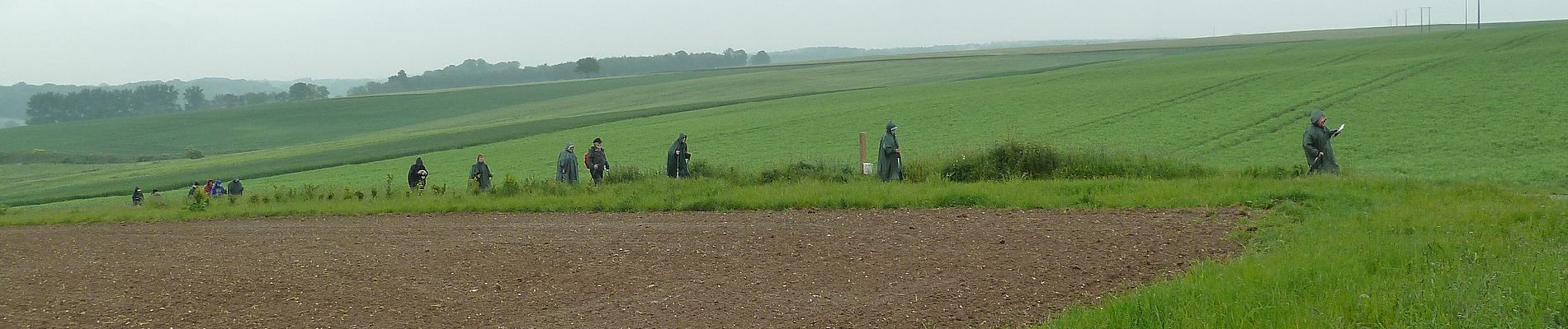 Excursión A pie Authie - Autour du Prieuré d'Authie - Photo