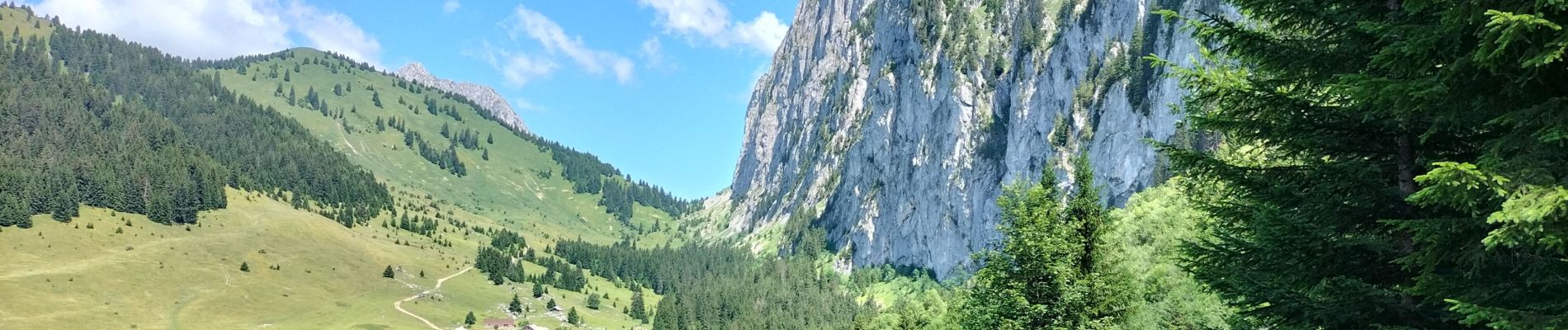 Randonnée Marche Vacheresse - Tour du Mont Chauffé  - Photo