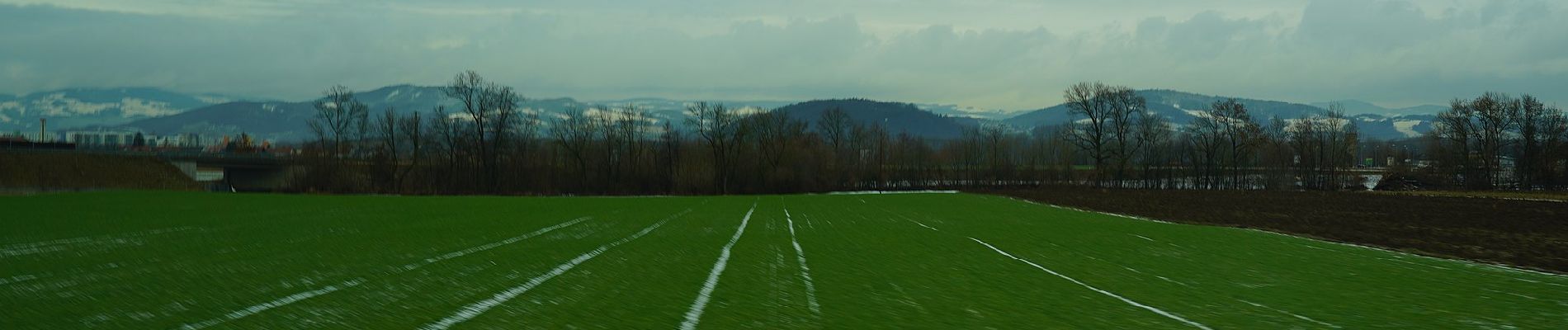 Percorso A piedi Enns - AT-F - Photo