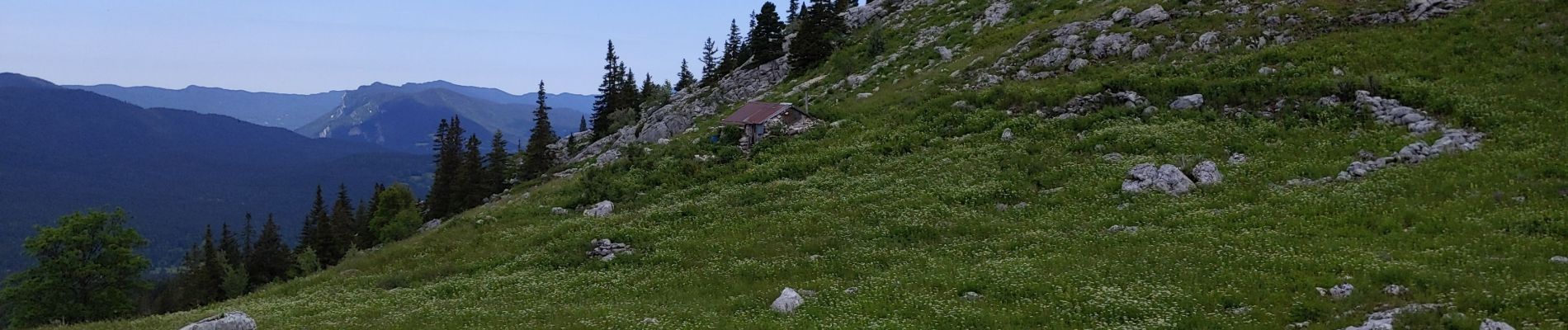 Tocht Stappen Corrençon-en-Vercors - cabane de serre du play par la combe du souillet et la combe de fer - Photo