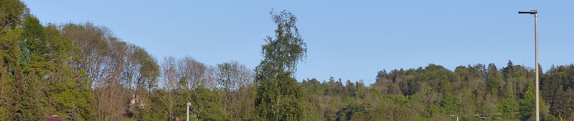 Tour Zu Fuß Weißenohe - Weißenoher Grünrautenweg - Photo