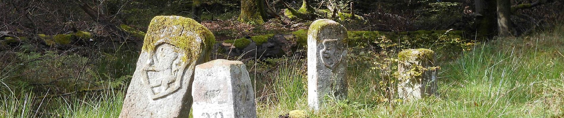 Tocht Te voet Bad Soden-Salmünster - Mernes - Wanderweg Schmetterling - Photo