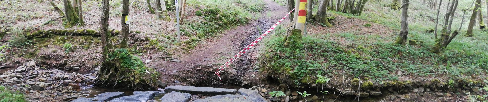 Trail Walking Beauraing - Felenne adeps terrain de foot - Photo