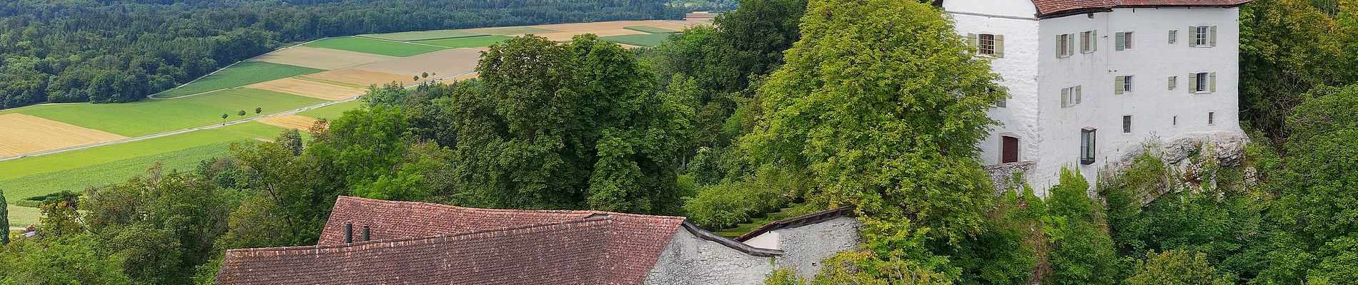 Tour Zu Fuß Brunegg - Schloss Wildegg - Brunegg - Photo