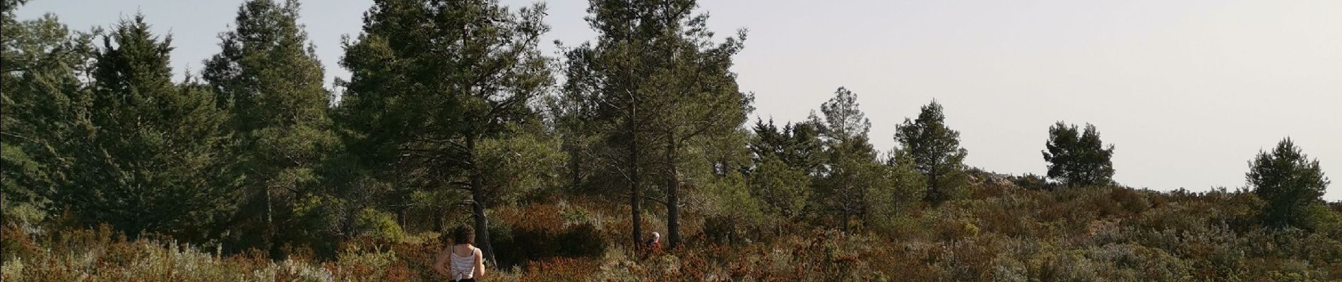 Tour Wandern Vitrolles - les Crêtes de l'arbois  - Photo