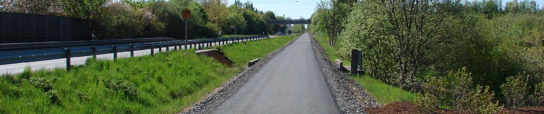 Randonnée A pied Tirschenreuth - Tirschenreuth Rundwanderweg Nr. 9 - Photo