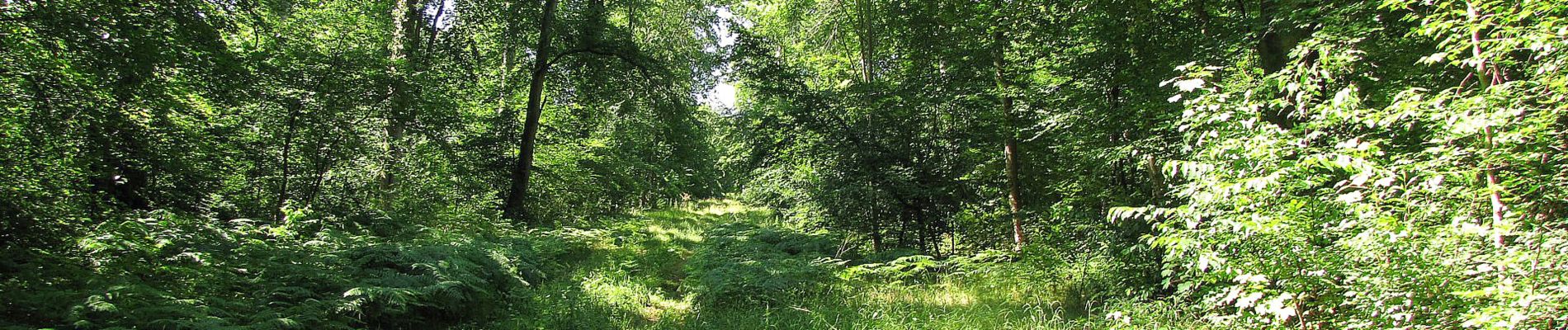 Punto di interesse Compiègne - Unnamed POI - Photo