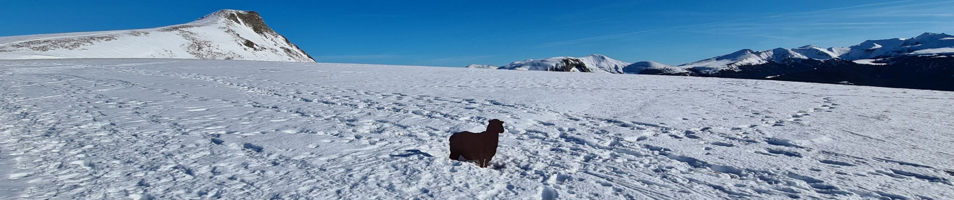 Trail Snowshoes Murat-le-Quaire - la Banne par le tenon - Photo