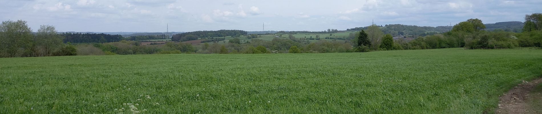 Tocht Stappen Hamoir - Filot mai 2021 - Photo