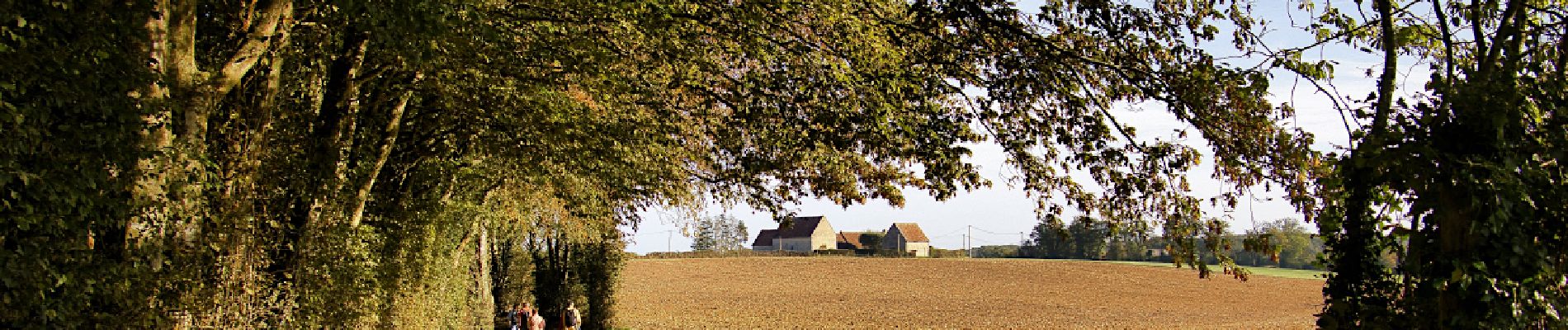 Percorso Marcia Saint-Victor-de-Buthon - Saint-Victor de Buthon 8,5 km - Photo