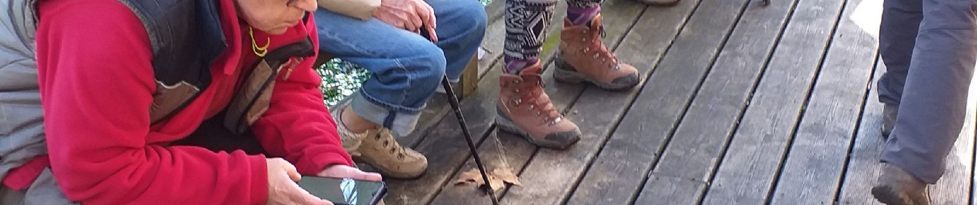 Tocht Stappen Billère - bille golf RS fait - Photo