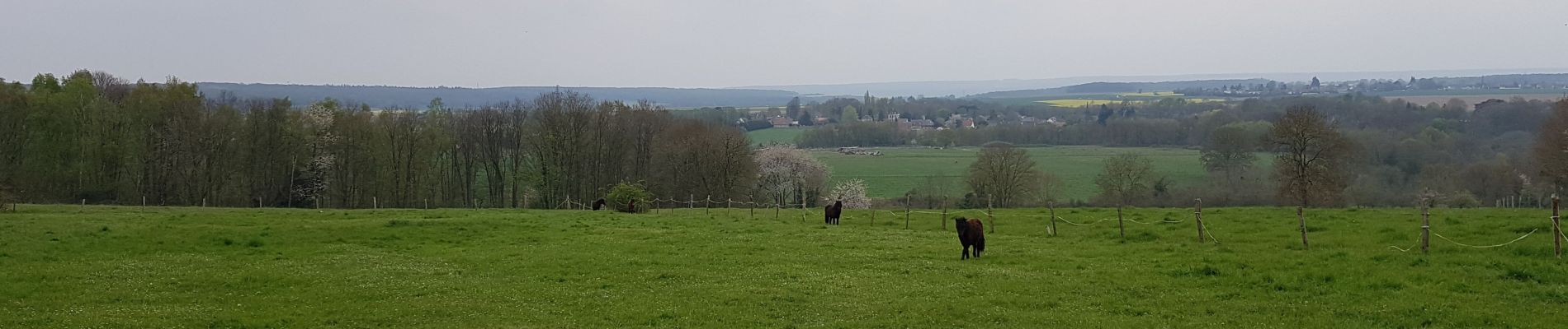 Randonnée Marche Ymare - 20190416 ymare - Photo