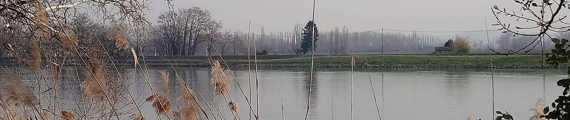 Randonnée Marche La Voulte-sur-Rhône - La Voulte Via-Rhôna 7KM - Photo